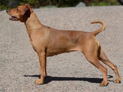 Hulda
